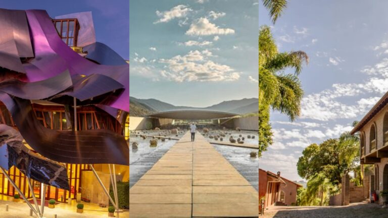 Quais são as melhores vinícolas do mundo? Veja única brasileira da lista quais-sao-as-melhores-vinicolas-do-mundo?-veja-unica-brasileira-da-lista