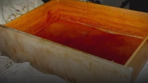 No Reino Unido, mulher mantém criança em gaveta debaixo da cama por três anos e cena faz policiais chorarem no-reino-unido,-mulher-mantem-crianca-em-gaveta-debaixo-da-cama-por-tres-anos-e-cena-faz-policiais-chorarem