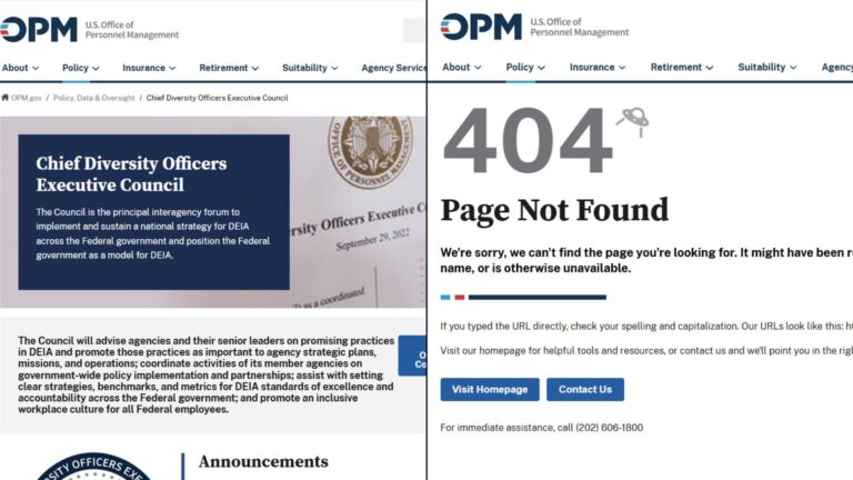 Em 1ª ação, departamento de Musk tira do ar site de agência pró-diversidade: 'Progresso' em-1a-acao,-departamento-de-musk-tira-do-ar-site-de-agencia-pro-diversidade:-'progresso'