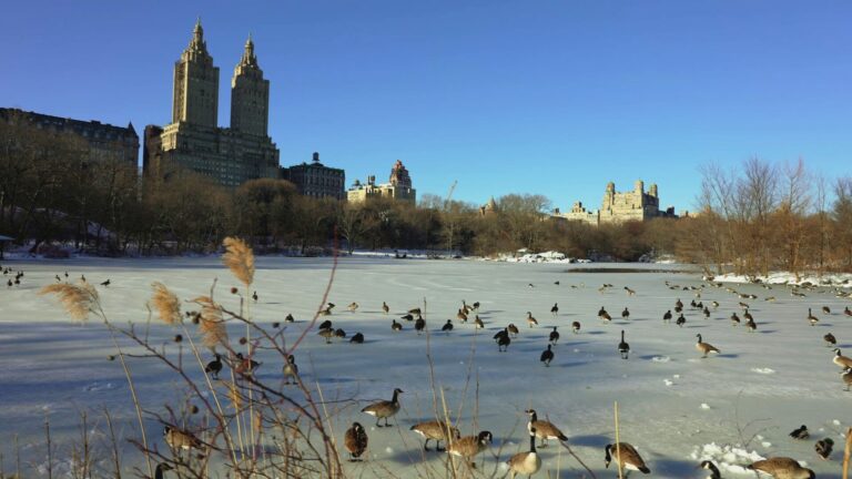 5-lugares-parecidos-com-os-eua-para-quem-quer-evitar-viajar-para-o-pais-sob-o-governo-trump