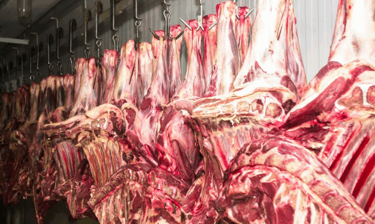 Frigoríficos do Brasil avaliam suspender exportações de carne aos EUA frigorificos-do-brasil-avaliam-suspender-exportacoes-de-carne-aos-eua