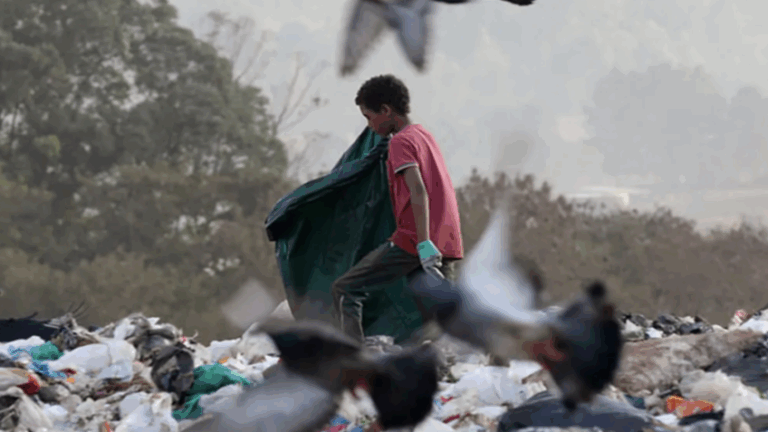 Trabalho infantil volta a crescer no Brasil em 2024, diz IBGE trabalho-infantil-volta-a-crescer-no-brasil-em-2024,-diz-ibge