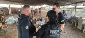 Polícia queima 1,2 tonelada de cocaína avaliada em R$ 150 milhões no RN policia-queima-1,2-tonelada-de-cocaina-avaliada-em-r$-150-milhoes-no-rn